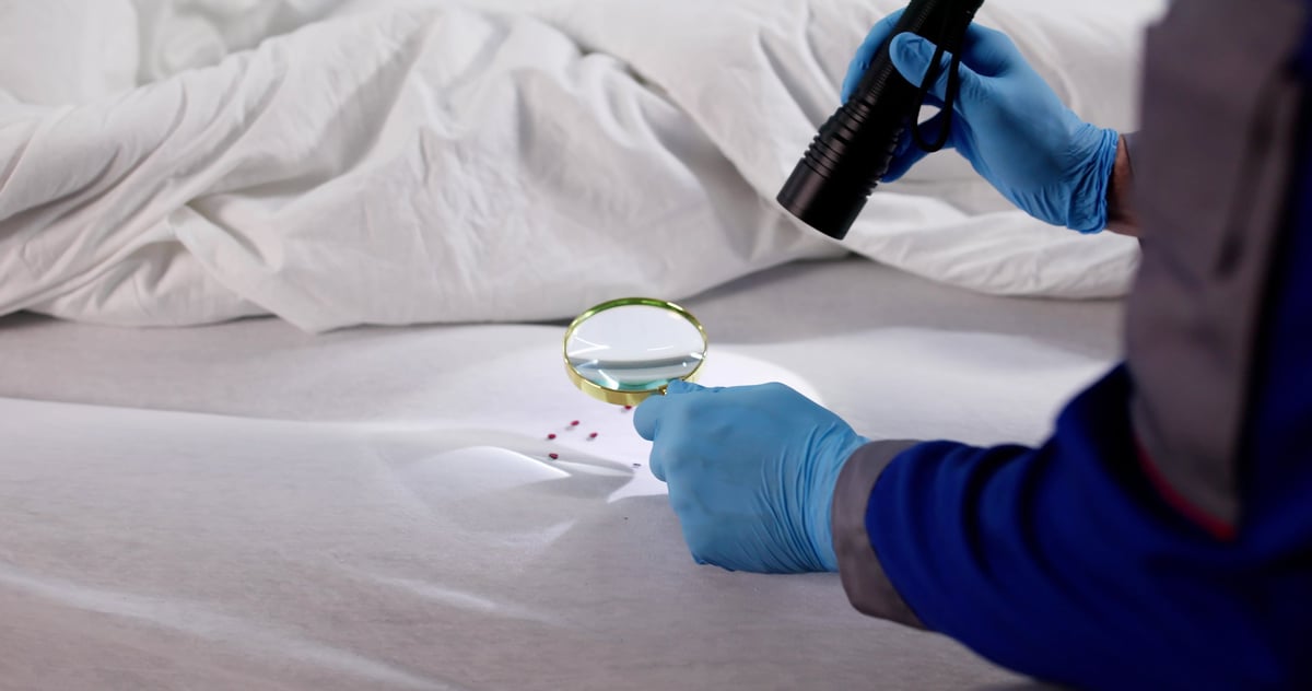 Man inspecting hotel mattress for bedbug infestation with magnifying glass